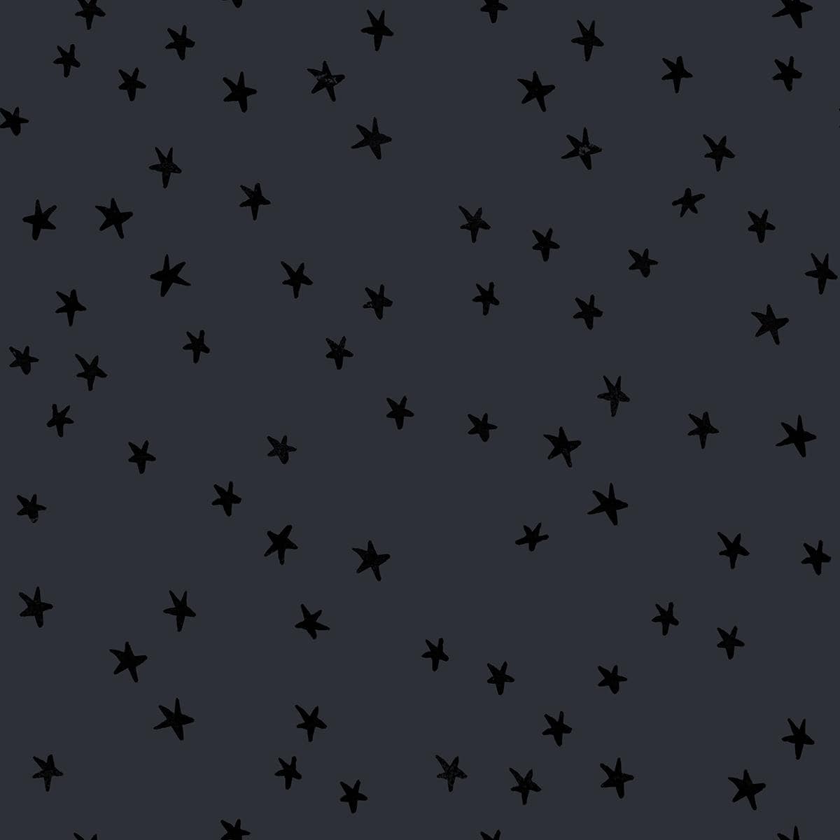 Starry Print Charcoal - Alexia Marcelle Abegg - Ruby Star Society