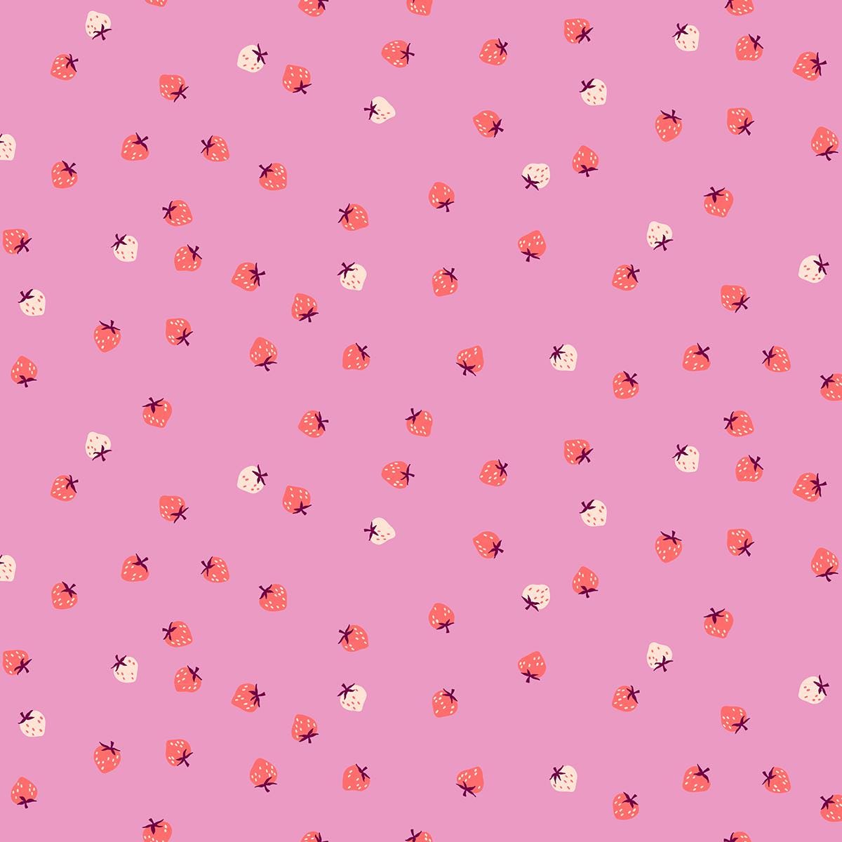 SOLD OUT - Strawberry Pre-cut Jelly Roll - Kimberly Kight - Ruby Star Society - RS3084JR