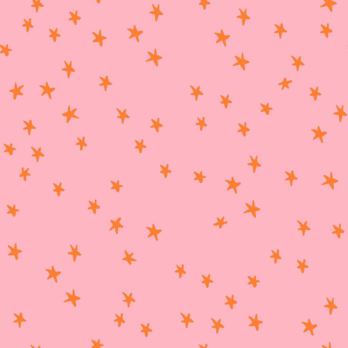 Starry New Colors Pre-cut Charm Pack - Alexia Marcelle Abegg - Ruby Star Society