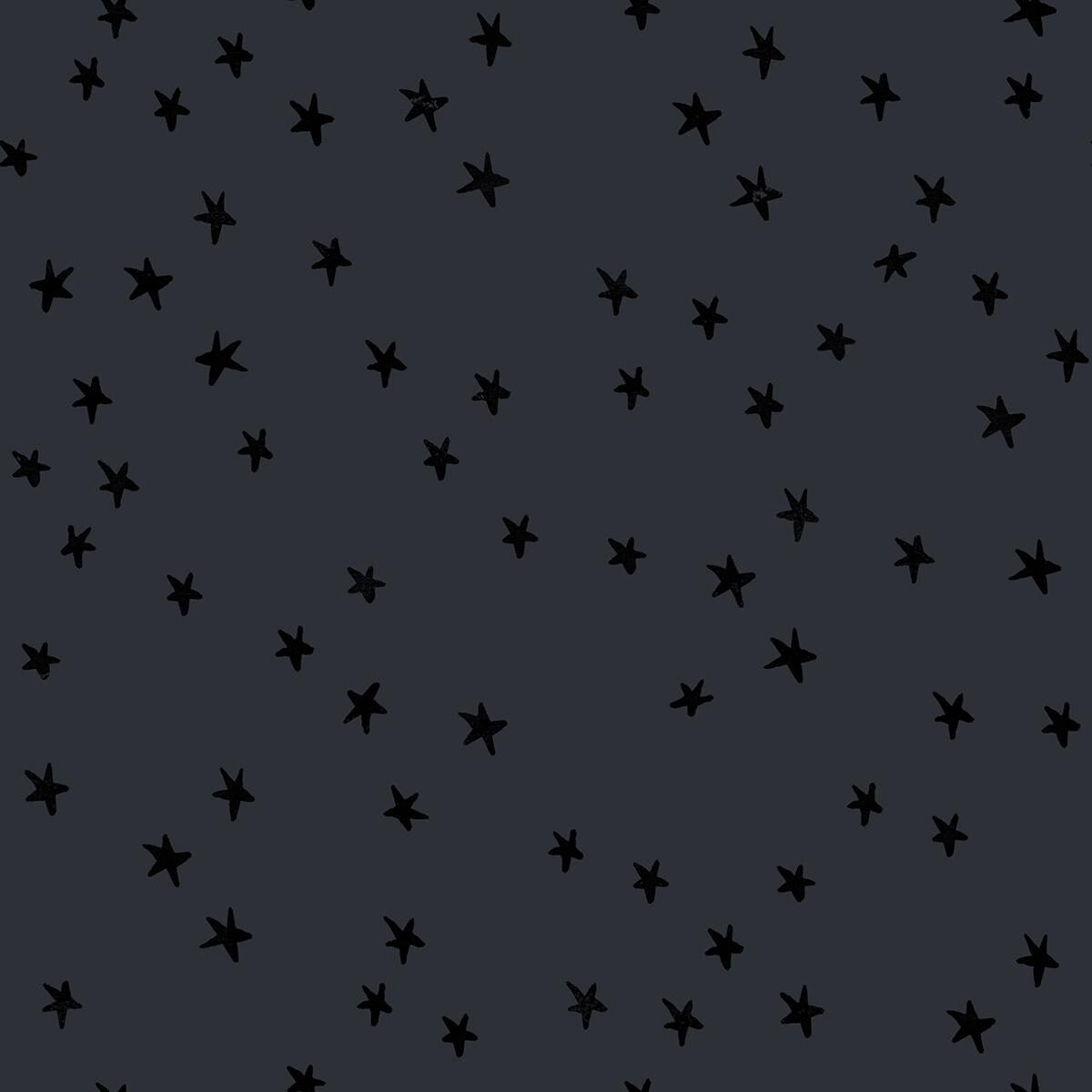 Starry New Colors Pre-cut Charm Pack - Alexia Marcelle Abegg - Ruby Star Society
