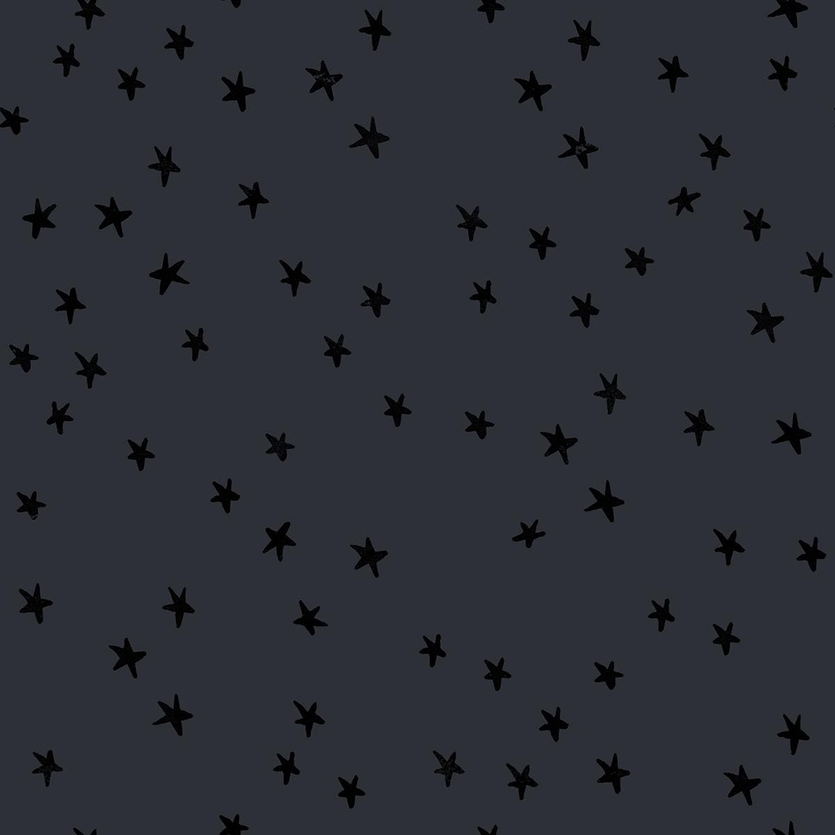 IN STOCK - Starry Print Charcoal - Alexia Marcelle Abegg - Ruby Star Society - RS4109 91