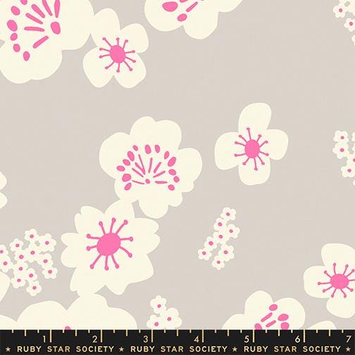 IN STOCK - Paper Cuts 2 Hana Print CANVAS Sandbox Gray by Rashida Coleman Hale of Ruby Star Society - RS1115 13L
