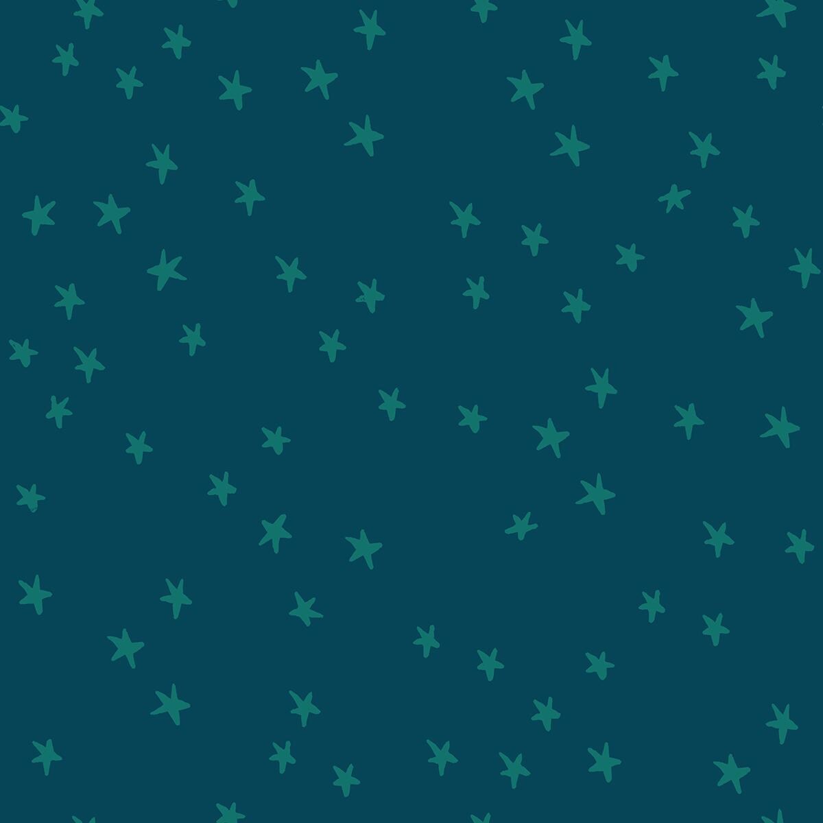 Starry New Colors Pre-cut Charm Pack - Alexia Marcelle Abegg - Ruby Star Society