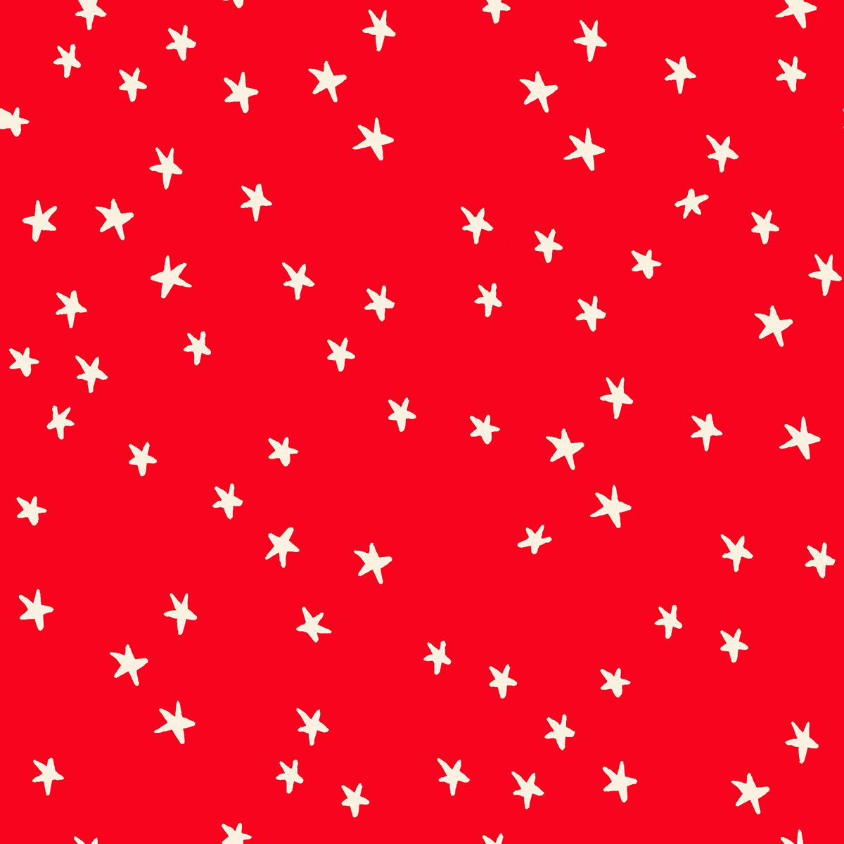 Starry New Colors Pre-cut Charm Pack - Alexia Marcelle Abegg - Ruby Star Society