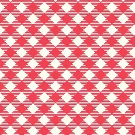 108" WIDEBACK Gingham Print Cayenne Red/White - Bee Ginghams - Lori Holt - WB12562R
