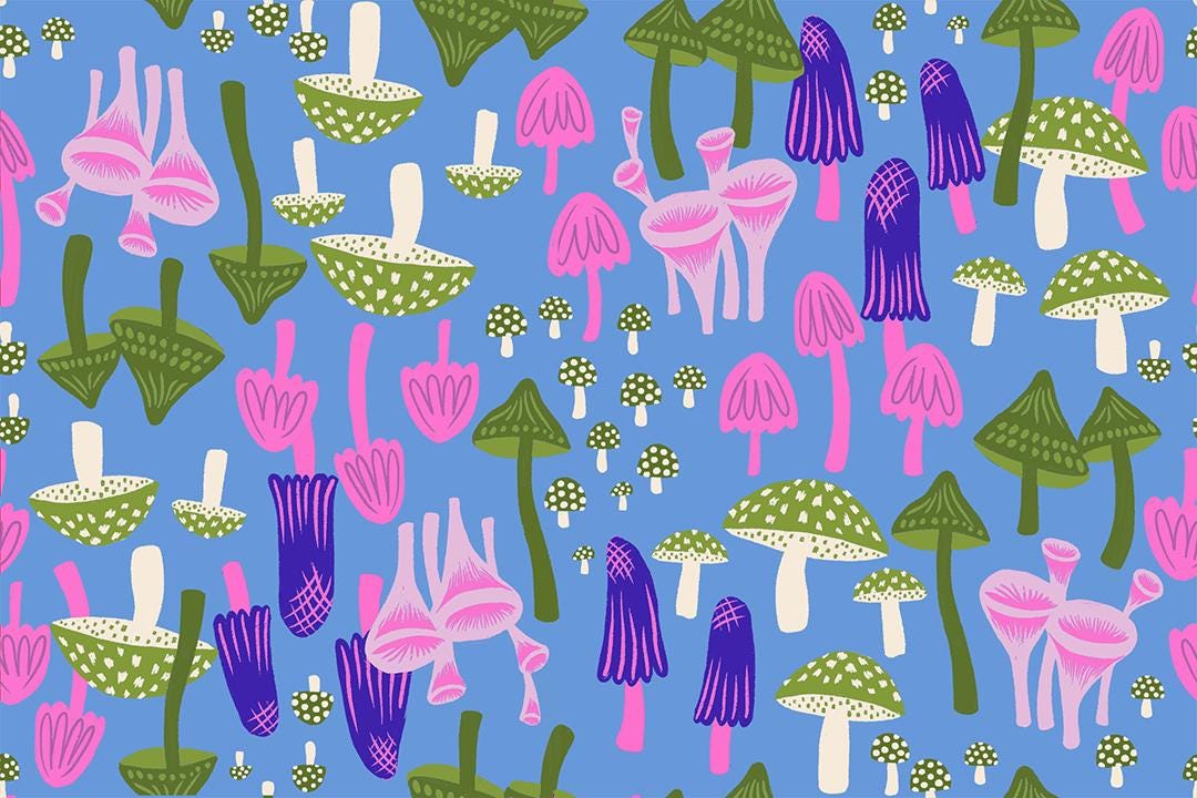 IN STOCK - Hello Alice Pre-cut Jelly Roll by Sarah Watts for Ruby Star Society - RS2120JR