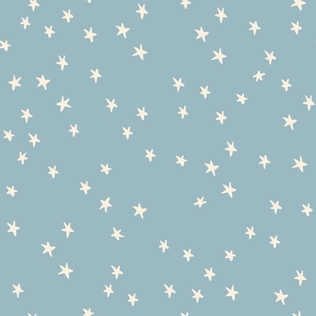 IN STOCK - Starry Print New Soft Blue - Alexia Marcelle Abegg - Ruby Star Society - RS4109 84