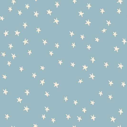 IN STOCK - Starry Print New Soft Blue - Alexia Marcelle Abegg - Ruby Star Society - RS4109 84