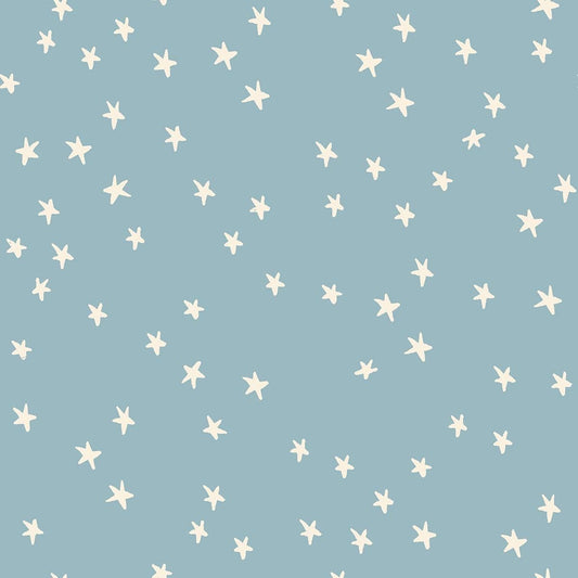 Starry Print New Soft Blue - Alexia Marcelle Abegg - Ruby Star Society - RS4109 84