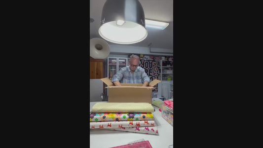 IN STOCK - Catnap Birds Print Black - Alexia Marcelle Abegg - Ruby Star Society - RS4135 11