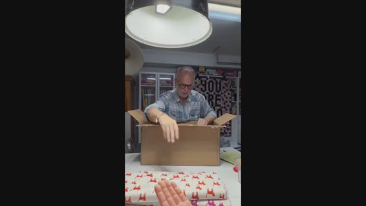 IN STOCK - Catnap Pre-cut Jelly Roll by Alexia Marcelle Abegg for Ruby Star Society - RS4130JR